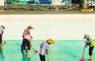 people-cleaning-swimming-pool